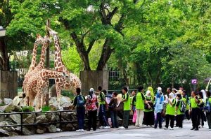 حديقة الحيوان الدولية ماليزيا